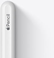 Övre delen av Apple Pencil (andra generationen) med rundad topp, Apple-logotyp och texten Pencil.