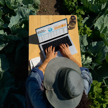 Vista superior de una mujer con un sombrero de ala ancha trabajando en una presentación de empresa en un MacBook en la mesa de un jardín.